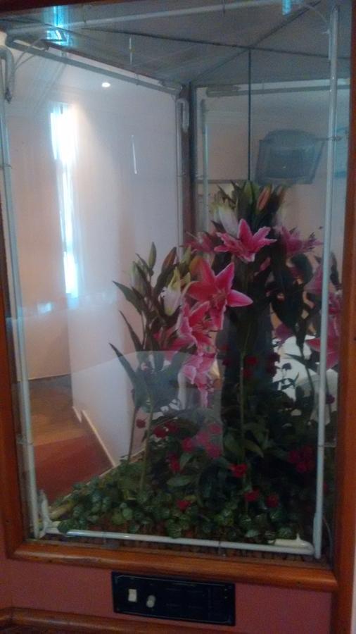 Magnus Norte Hotel (Adults Only) Rio de Janeiro Dış mekan fotoğraf